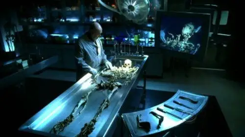 CSI: Las Vegas Temporada 9 Episodios 9 • Sub Español