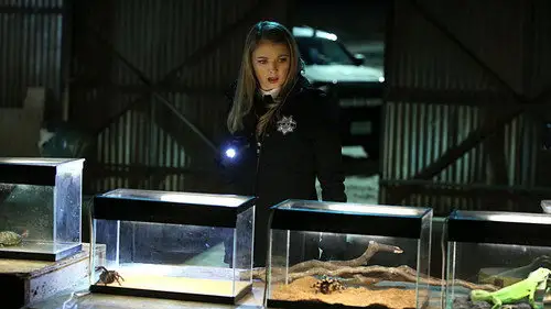 CSI: Las Vegas Temporada 15 Episodios 17 • Sub Español