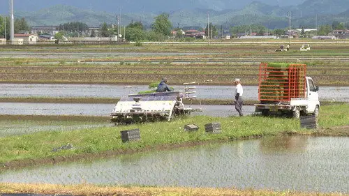 Japanology Plus Temporada 5 Episodios 18 • Sub Español