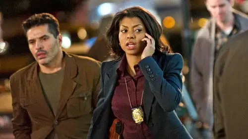 Vigilados, Person of Interest Temporada 1 Episodios 9 • Sub Español
