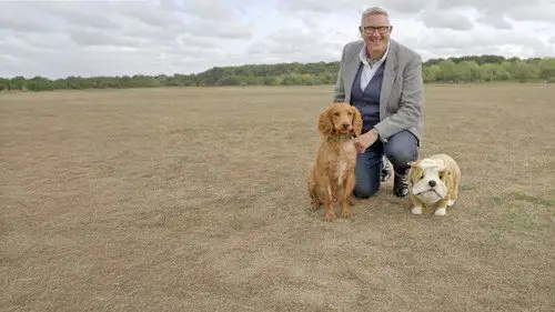 Dogs Behaving (Very) Badly Temporada 8 Episodios 4 • Sub Español