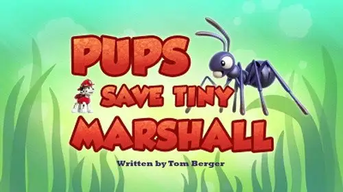 La Patrulla Canina Temporada 4 Episodios 19 • Sub Español