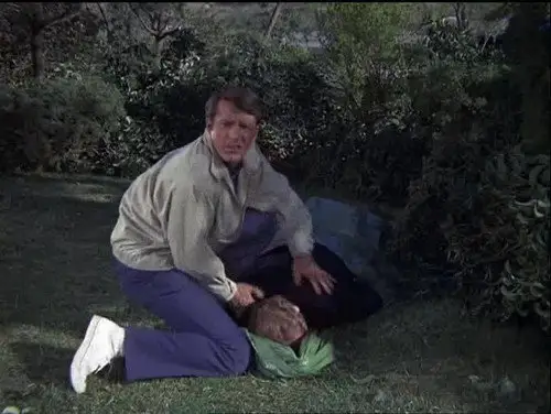 Ironside Temporada 5 Episodios 10 • Sub Español