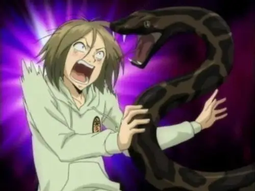 Katekyo Hitman Reborn! Temporada 3 Episodios 69 • Sub Español