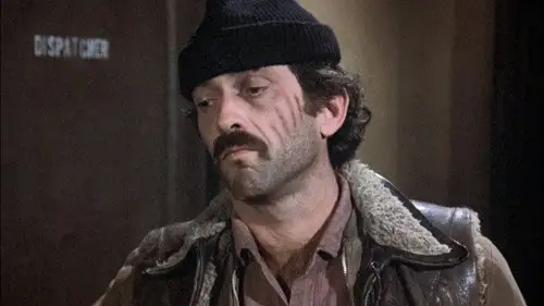 Canción triste de Hill Street Temporada 1 Episodios 12 • Sub Español