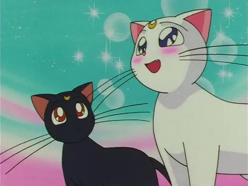 Sailor Moon Temporada 4 Episodios 6 • Sub Español