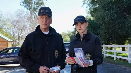 Navy: Investigación criminal Temporada 17 Episodios 17 • Sub Español