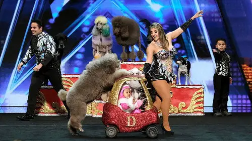 America's Got Talent Temporada 14 Episodios 4 • Sub Español