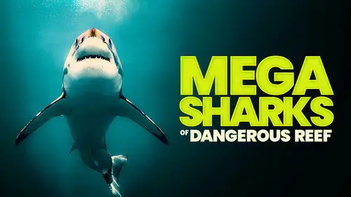 Shark Week S36E19 • Oglądaj Online