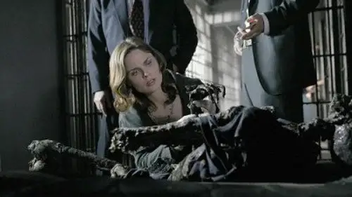 Bones Temporada 2 Episodios 12 • Sub Español