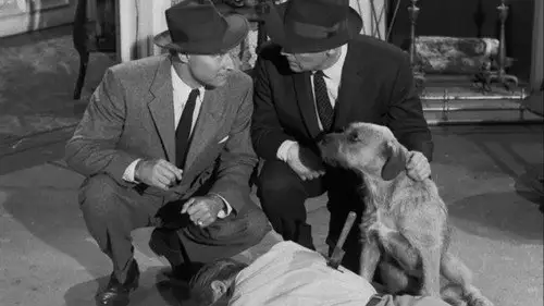 Perry Mason Temporada 1 Episodios 17 • Sub Español