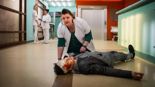 Hamburgo 112 Temporada 11 Episodios 24 • Sub Español