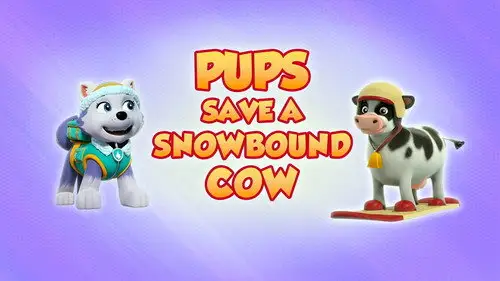 La Patrulla Canina Temporada 8 Episodios 2 • Sub Español