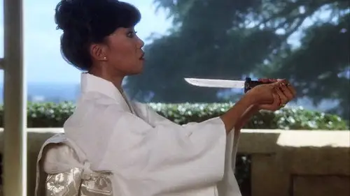 Magnum 1980 Temporada 2 Episodios 10 • Sub Español