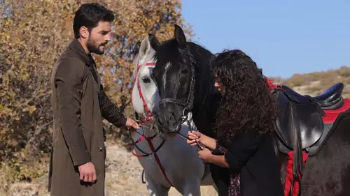 Hercai Temporada 2 Episodios 10 • Sub Español
