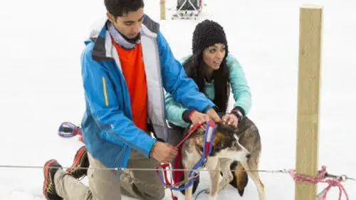 The Amazing Race Canada Temporada 2 Episodios 5 • Sub Español