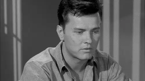 Perry Mason Temporada 6 Episodios 5 • Sub Español