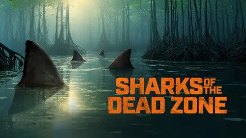 Shark Week S37E18 • Oglądaj Online