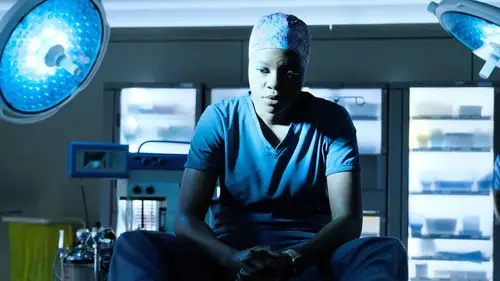 The Resident Temporada 1 Episodios 13 • Sub Español