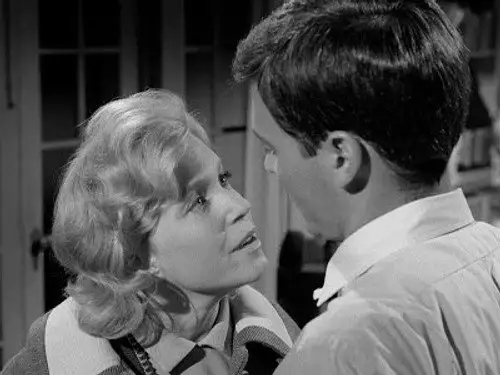 Perry Mason Temporada 9 Episodios 4 • Sub Español