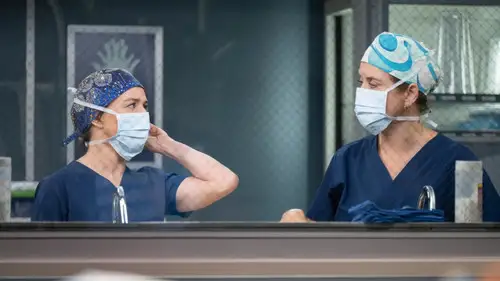 Anatomía de Grey Temporada 22 Episodios 10 • Sub Español