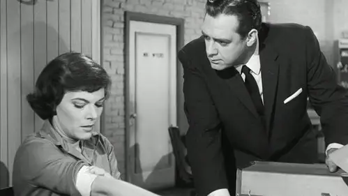 Perry Mason Temporada 2 Episodios 14 • Sub Español