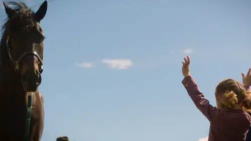 Heartland Temporada 16 Episodios 1 • Sub Español