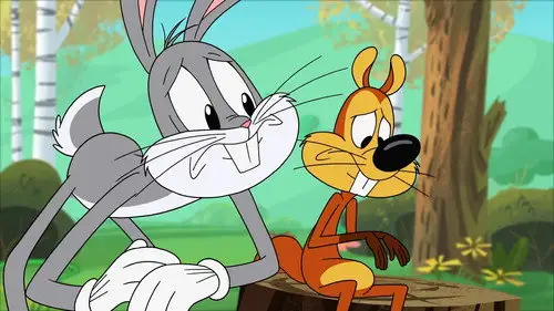 The New Looney Tunes Temporada 1 Episodios 9 • Sub Español