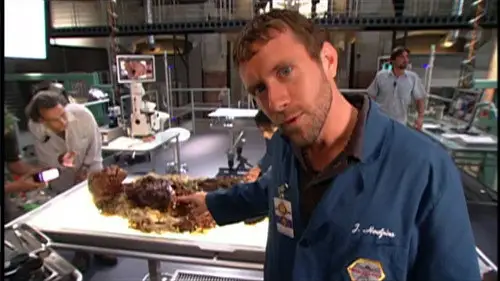 Bones Temporada 0 Episodios 17 • Sub Español