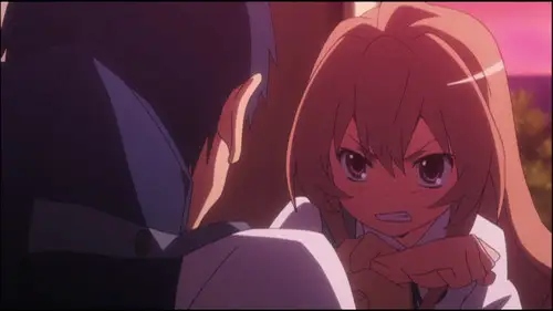 Toradora! Temporada 1 Episodios 11 • Sub Español
