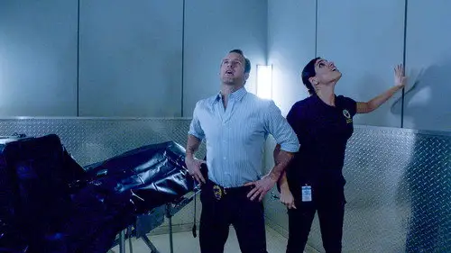 Hawái 5.0 Temporada 5 Episodios 20 • Sub Español