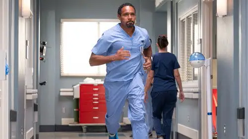 Anatomía de Grey Temporada 21 Episodios 8 • Sub Español