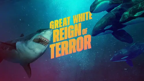 Shark Week S38E16 • Oglądaj Online