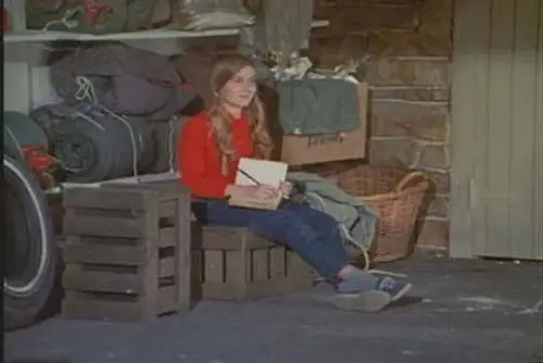 The Brady Bunch Temporada 1 Episodios 22 • Sub Español