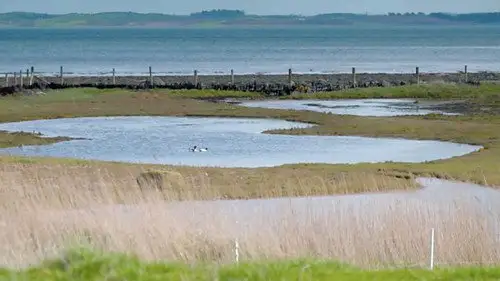 Countryfile S35E17 • Oglądaj Online