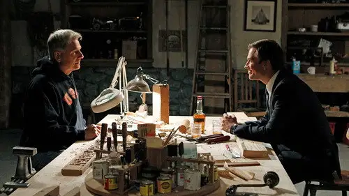 Navy: Investigación criminal Temporada 8 Episodios 21 • Sub Español