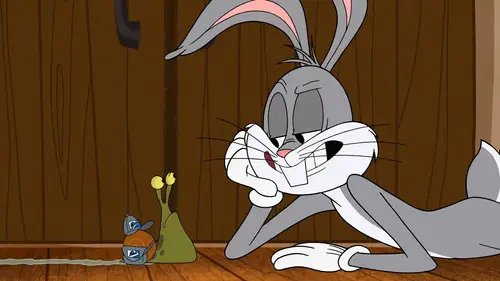 The New Looney Tunes Temporada 1 Episodios 21 • Sub Español