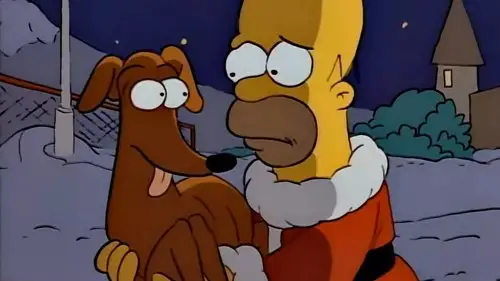 Los Simpson Temporada 1 Episodios 1 • Sub Español