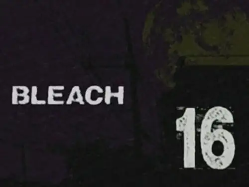 Bleach Temporada 1 Episodios 16 • Sub Español