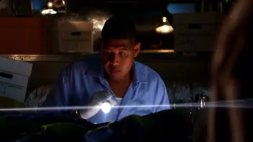 CSI: Miami Temporada 8 Episodios 17 • Sub Español