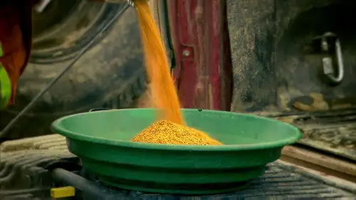 La fiebre del oro Temporada 6 Episodios 21 • Sub Español