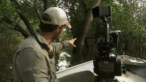 Planeta Tierra II Temporada 0 Episodios 3 • Sub Español